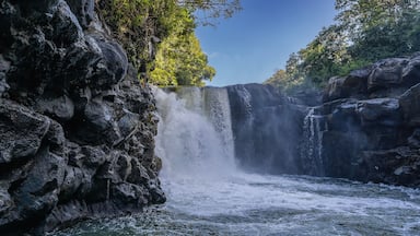 A beautiful tropical waterfall. Streams of water fall from the edge of the ledge into the river. Foam, splashes. Wet steep coastal cliffs. Green trees against a blue sky. Mauritius. GRSE waterfall