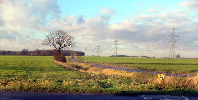The Track to Roxton Wood. Photo taken on Keelby Road near Newstead Farm looking towards Roxton Wood.