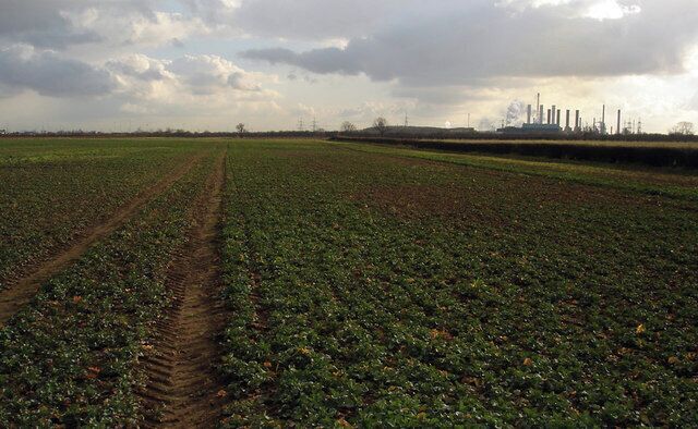 A Very Muddy Field. The group of chimneys on the right of the picture are the two power stations at North Killingholme 161858 161852.