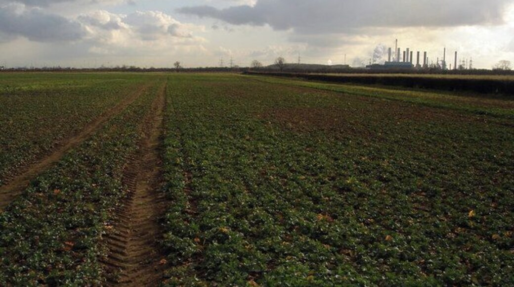 A Very Muddy Field. The group of chimneys on the right of the picture are the two power stations at North Killingholme 161858 161852.