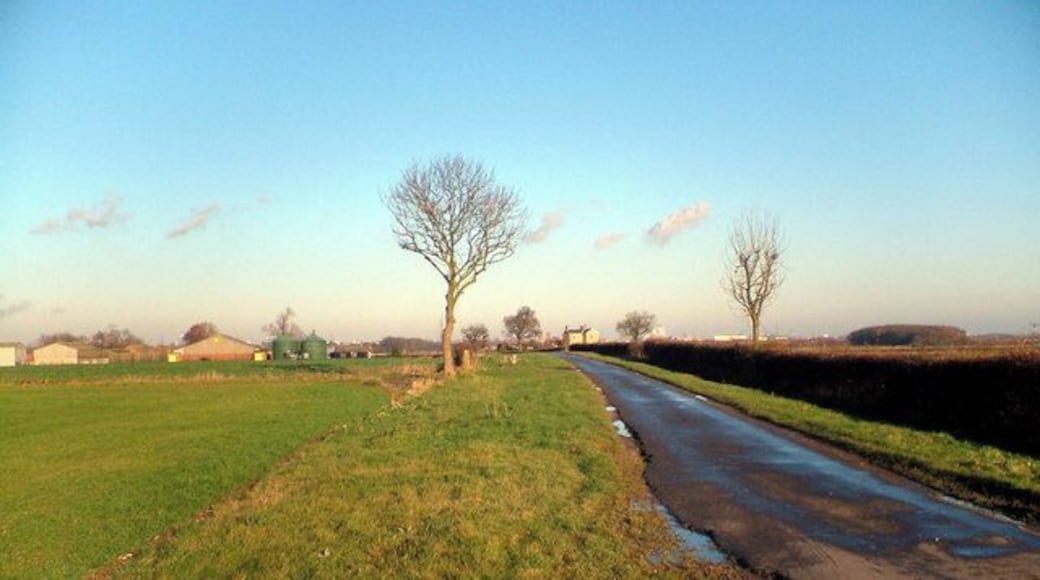 Looking towards Roxton Farm Photo taken on the Keelby to Immingham lane.