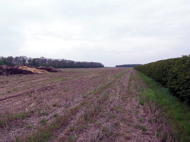Near Red House Farm. Picture taken from field adjacent to Skitter Road looking approx. West.