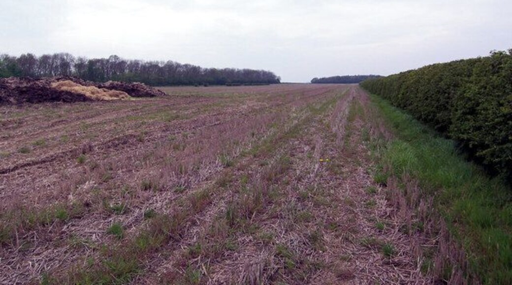 Near Red House Farm. Picture taken from field adjacent to Skitter Road looking approx. West.