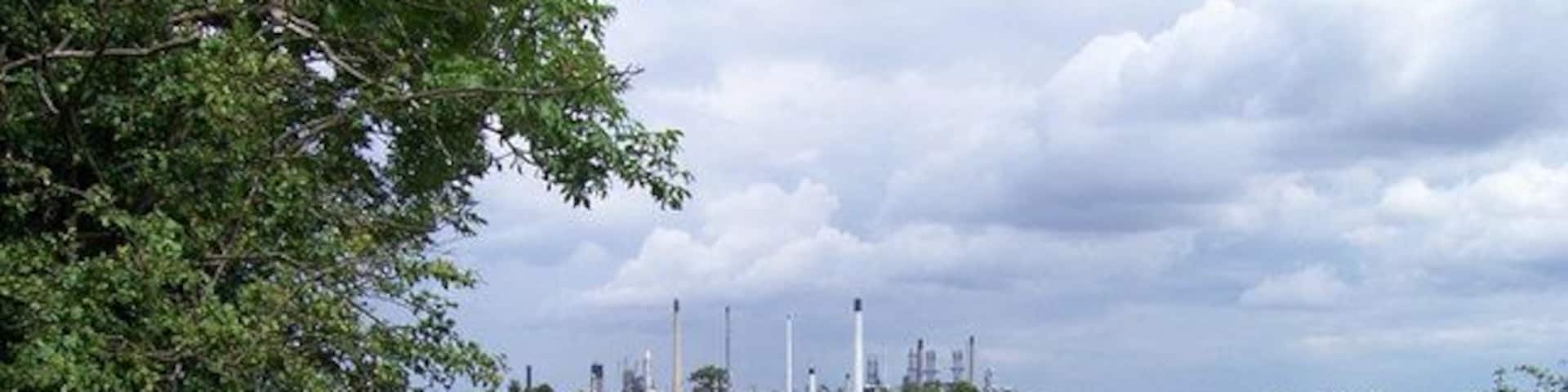 Agriculture and Industry near South Killingholme. Looking across a field of ripening Wheat towards the refinery.