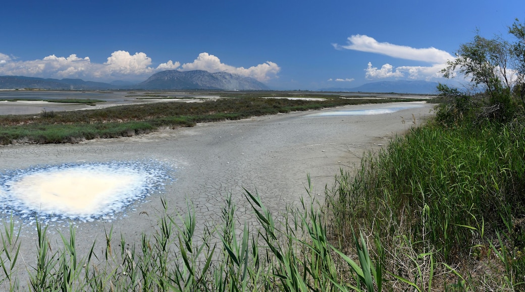 ๋ฉ์๋กฑ๊ธฐ