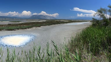 Missolonghi lagoon (Greece) // Lagune von Mesolongi (Griechenland)