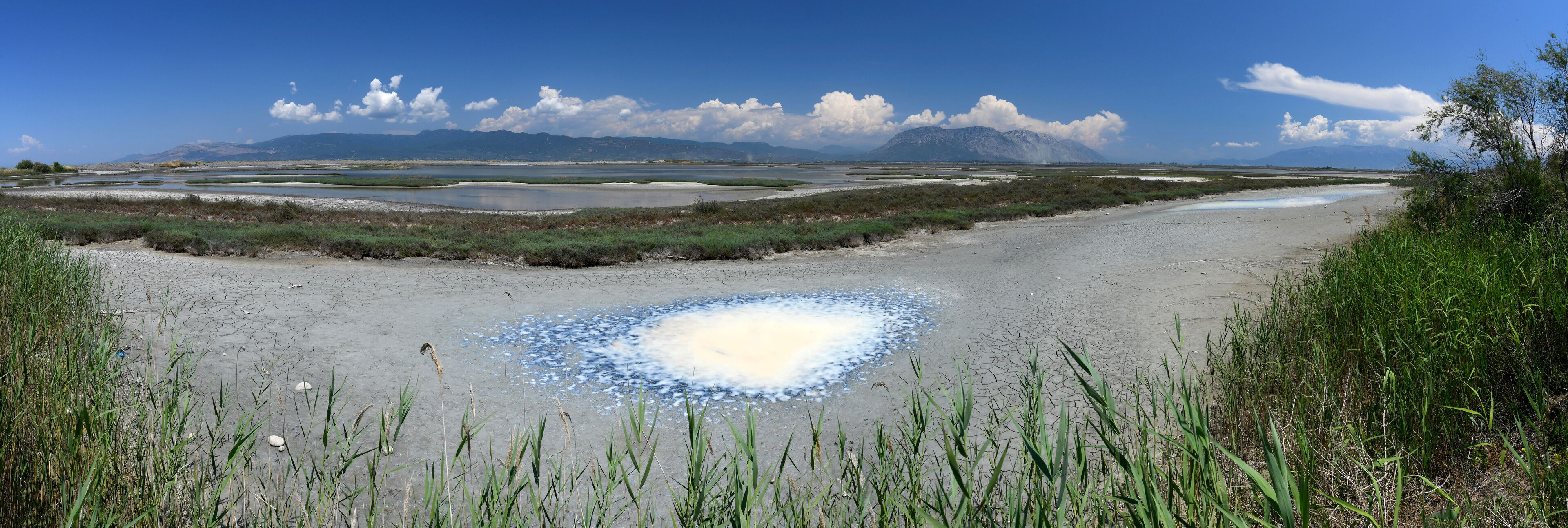 A salt flat with a circular salt formation, surrounded by sparse vegetation and distant mountains.