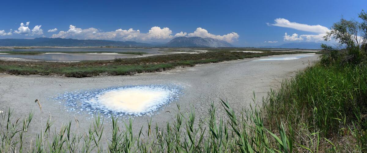 A salt flat with a circular salt formation, surrounded by sparse vegetation and distant mountains.