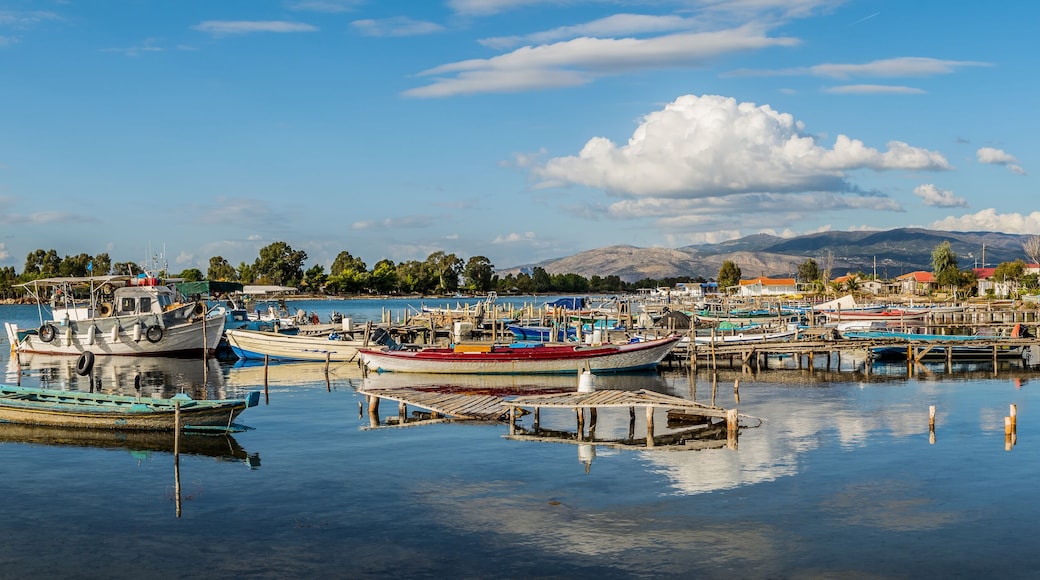 ๋ฉ์๋กฑ๊ธฐ