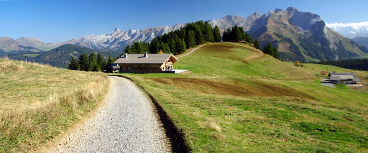 A gravel road leading to a house with a wooden roof, surrounded by green fields and mountains in the background.