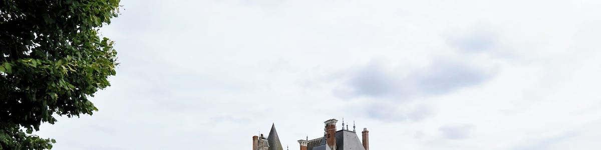 Le château de La Bussière