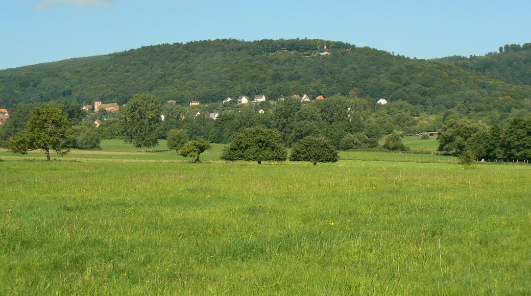 Vue générale du Mt St Michel et de St Jean Saverne (Bas Rhin - 67)