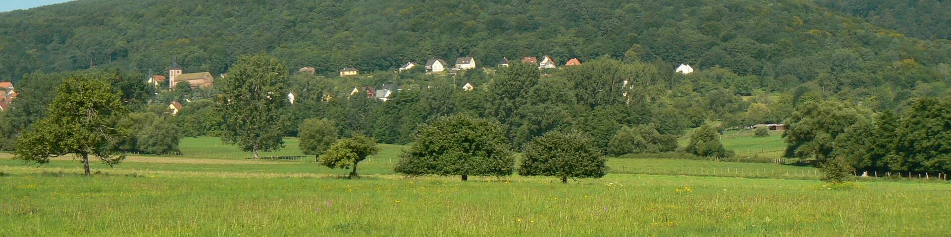 Vue générale du Mt St Michel et de St Jean Saverne (Bas Rhin - 67)