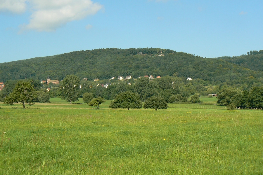 Un champ verdoyant, parsemé d’arbres, avec une colline en arrière-plan où se trouvent des maisons.
