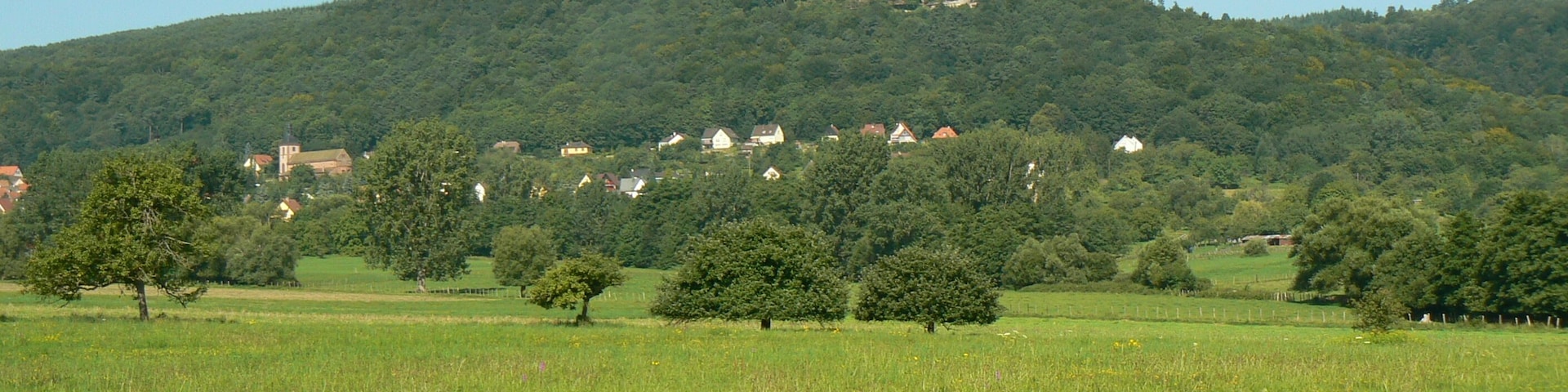Vue générale du Mt St Michel et de St Jean Saverne (Bas Rhin - 67)