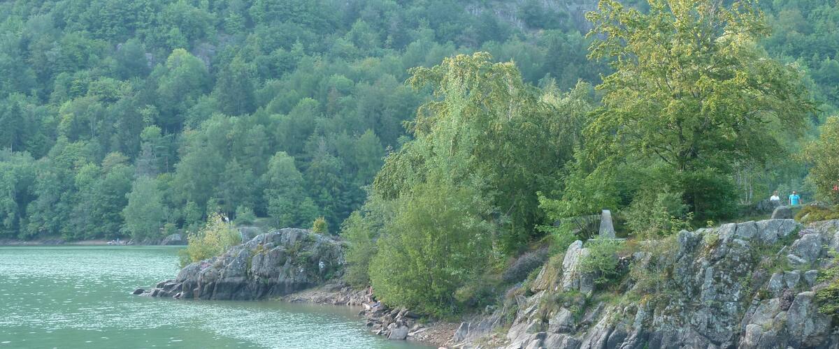 A river with rocky shores and dense forested hills in the background.