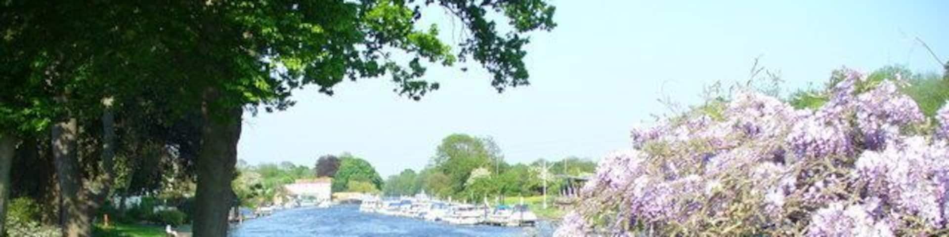 A riverside walkway with purple flowers, a grassy area, and a wooden fence.