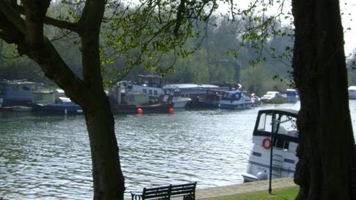 The Thames at Sunbury