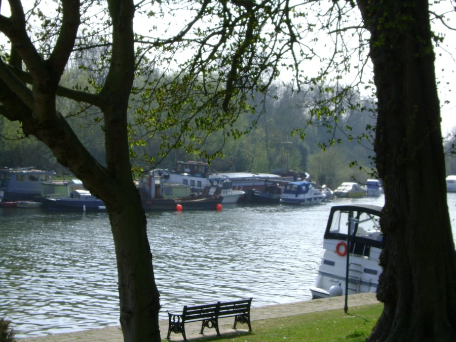 The Thames at Sunbury