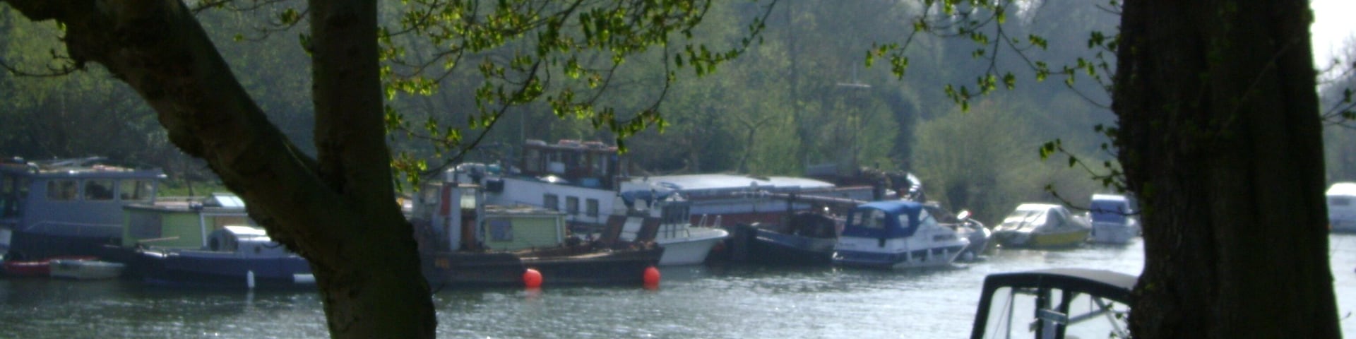 The Thames at Sunbury