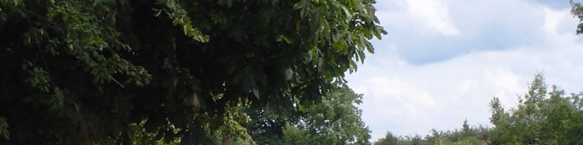 Dongola Race at Sunbury Amateur Regatta