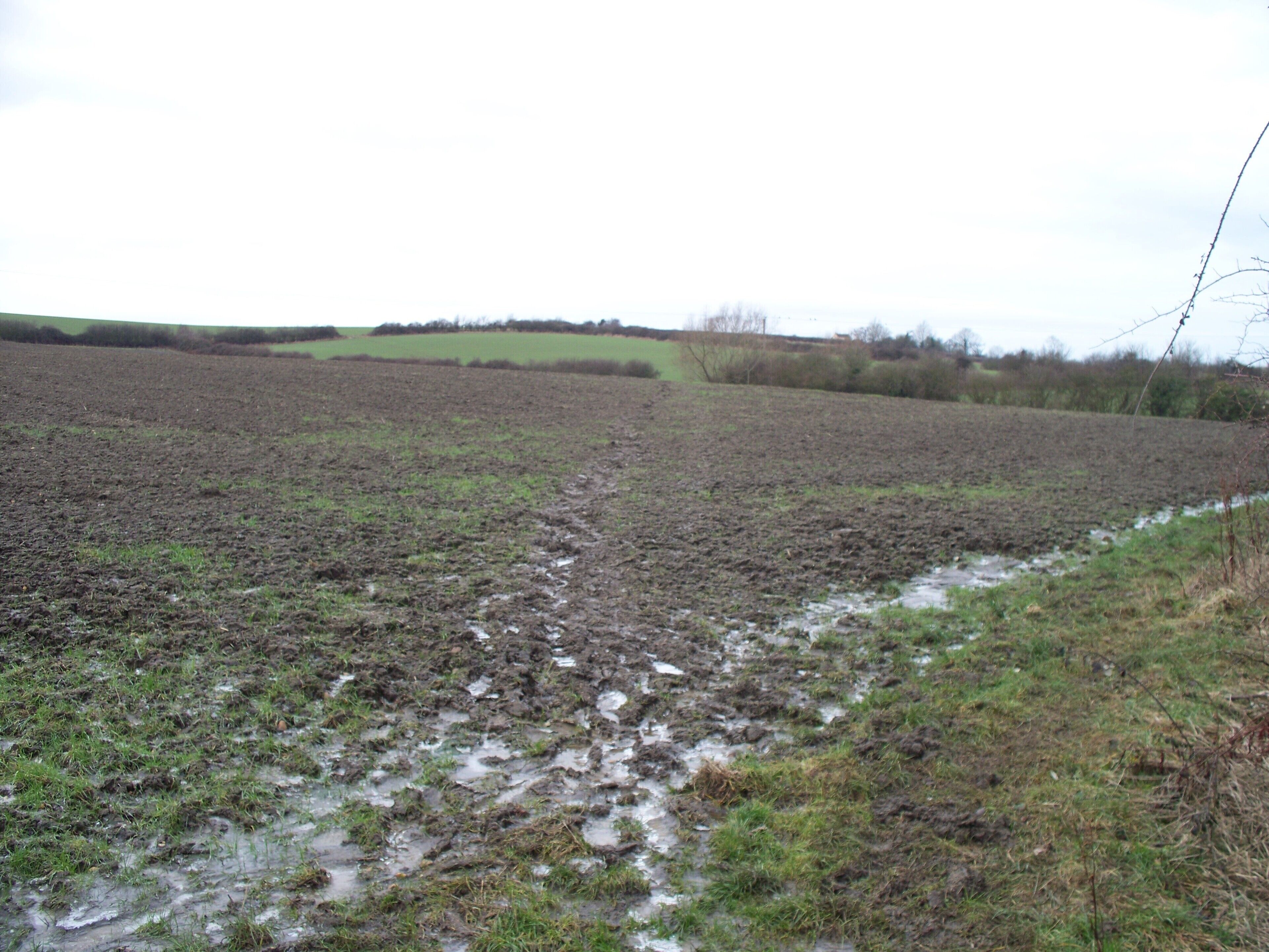 Muddy path After passing through the kissing gate from the bridleway, the path heads across the field.