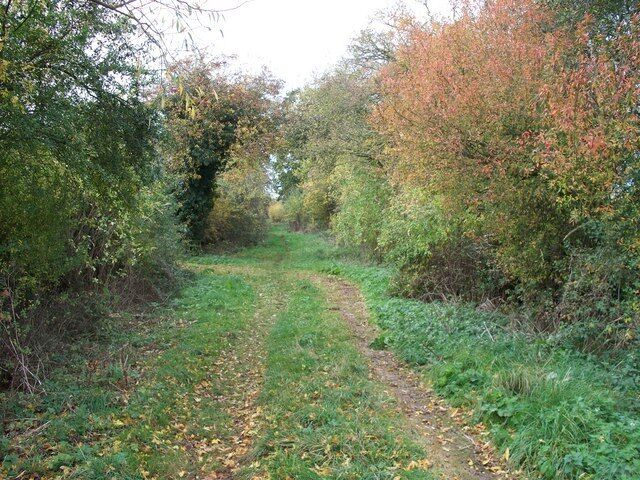 Footpath near Long Compton The path leads to Mill Farm and then onwards to Little Wolford. The sewage works are behind the trees on the right.