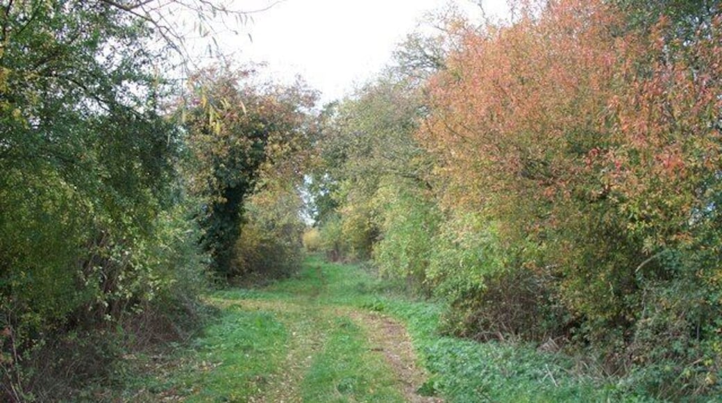 Footpath near Long Compton The path leads to Mill Farm and then onwards to Little Wolford. The sewage works are behind the trees on the right.