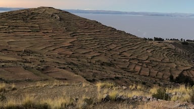 Terraced fields on a hillside overlooking a body of water.