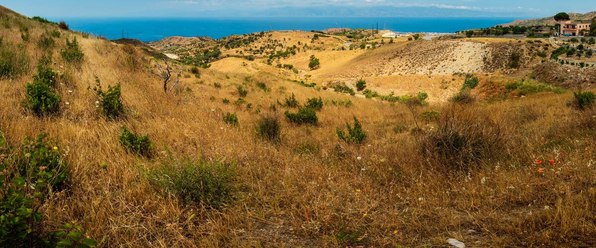 A coastal landscape with rolling hills, a clear blue sky, and a distant view of the sea.