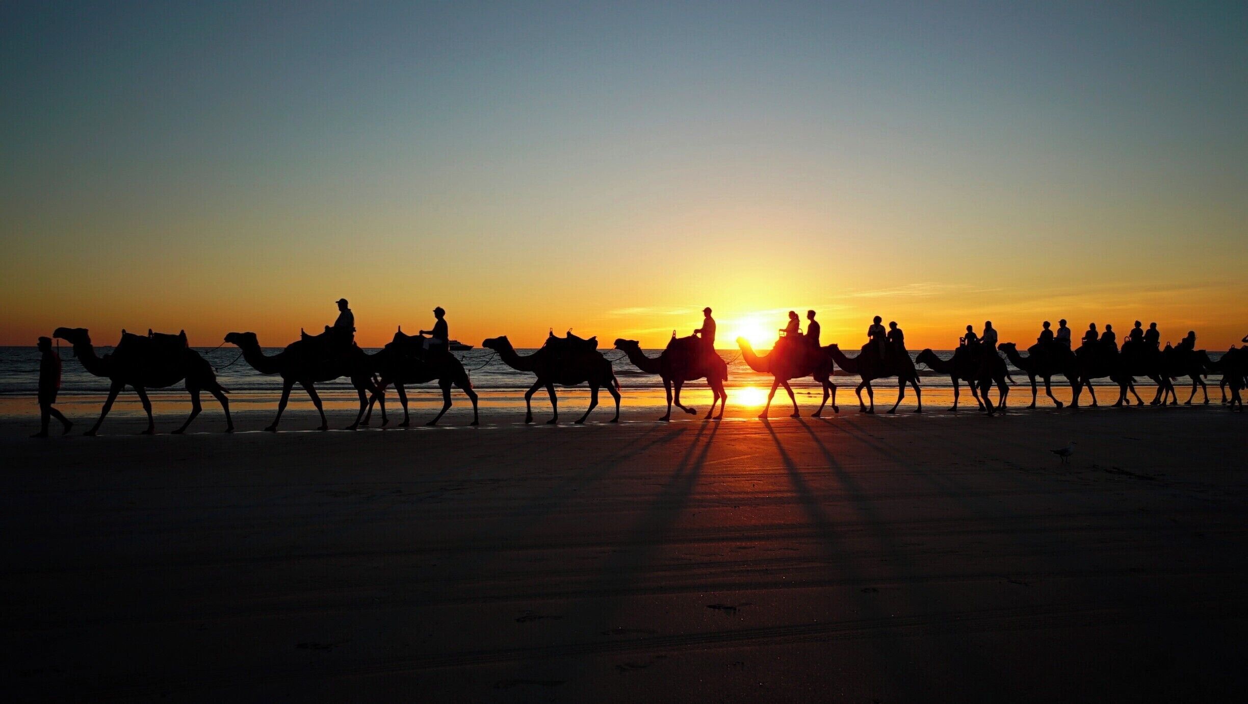 Camel Ride in sunset

#sunset
#Australia
#BeachBound

TO SEE ALL OF OUR TRAVEL FILMS:
AMAZON: http://bit.ly/amazoncom_ambient 
WEBSITE: https://www.naturedvds.com 
VIDEO DOWNLOADS: https://vimeo.com/relaxingnaturevideos
YOUTUBE: http://bit.ly/TheAmbientCollections
VIRTUAL TOUR: http://www.virtualwalksdvd.com