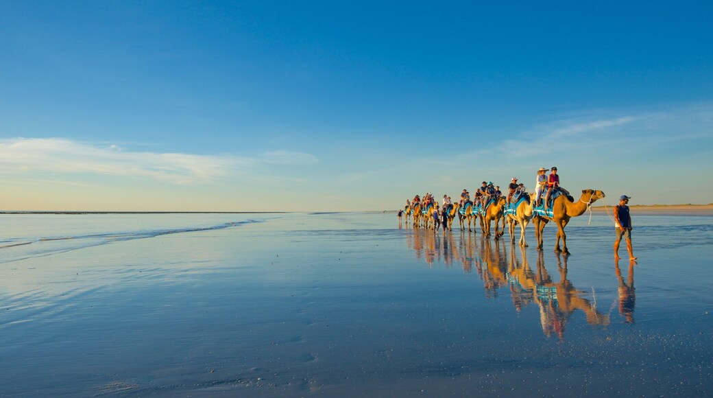 Cable Beach mostrando spiaggia e animali di terra
