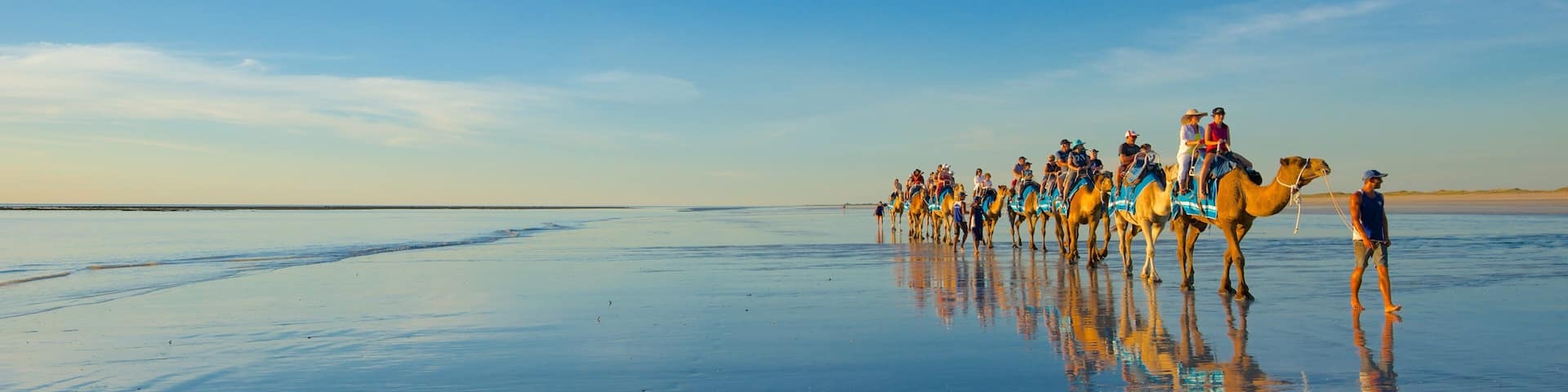 Cable Beach featuring a sandy beach and land animals