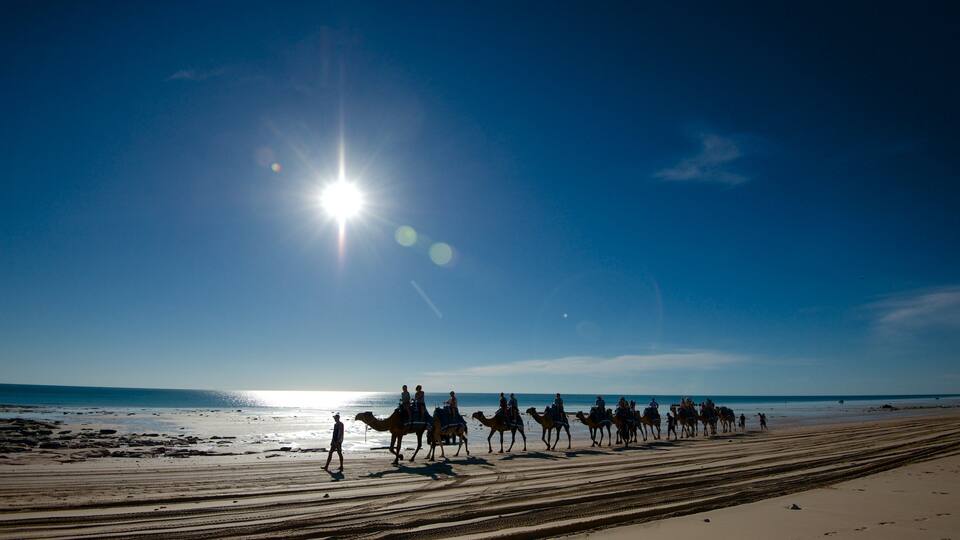 A beach with people riding camels.