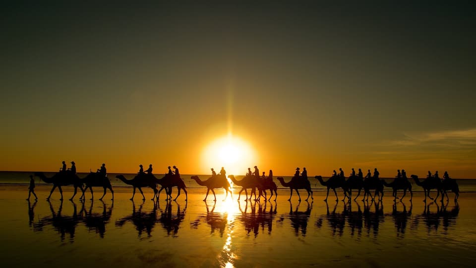 Cable Beach mit einem Landtiere, Sonnenuntergang und Sandstrand