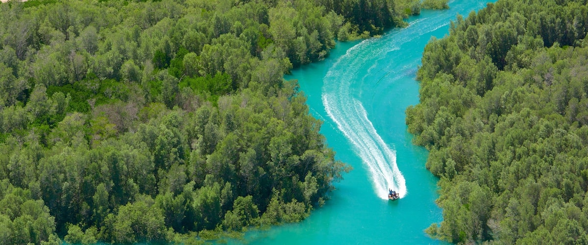 An aerial view of a river winding through a dense forest.