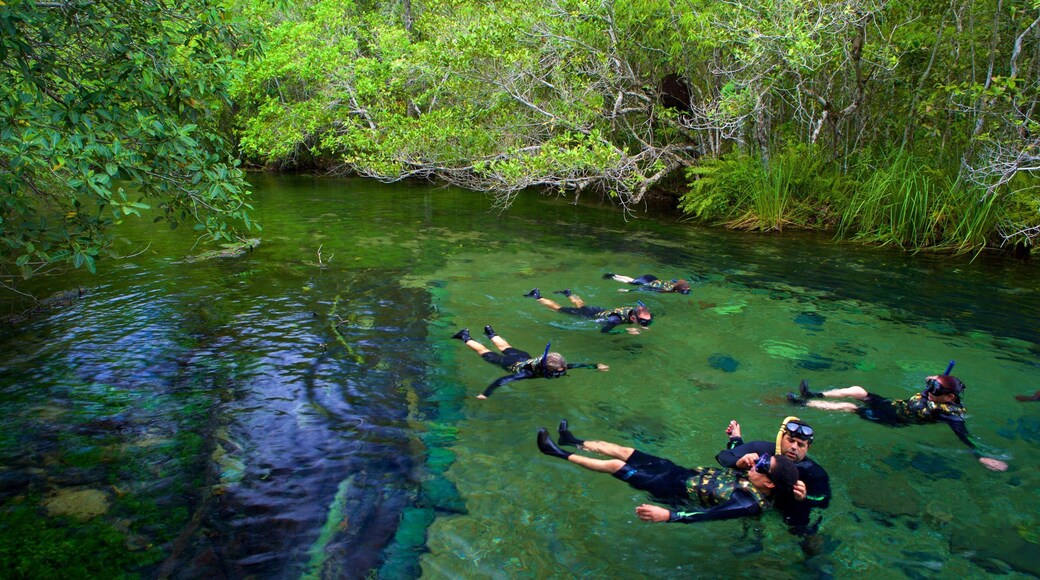 Bonito which includes snorkeling and a lake or waterhole as well as a small group of people