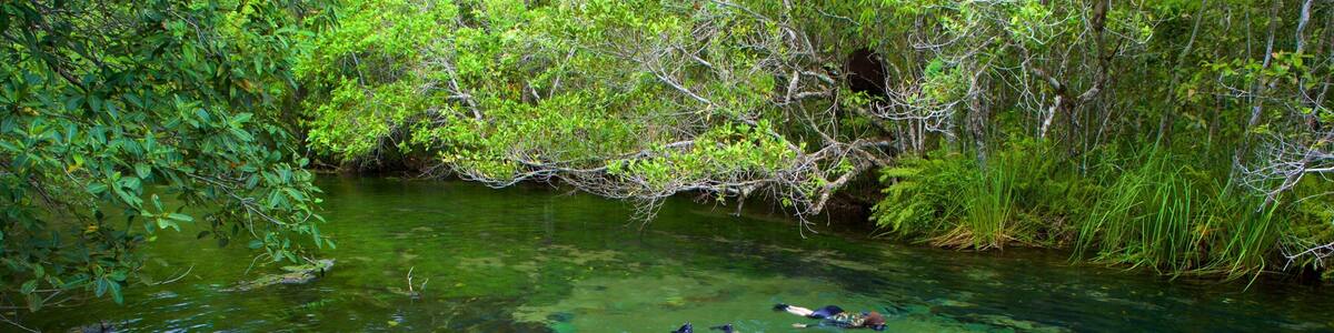 Bonito which includes snorkeling and a lake or waterhole as well as a small group of people