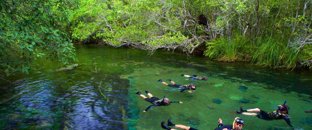 Bonito which includes snorkeling and a lake or waterhole as well as a small group of people