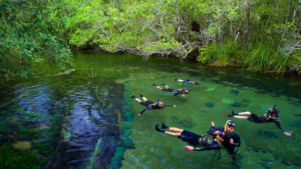 Bonito which includes snorkeling and a lake or waterhole as well as a small group of people
