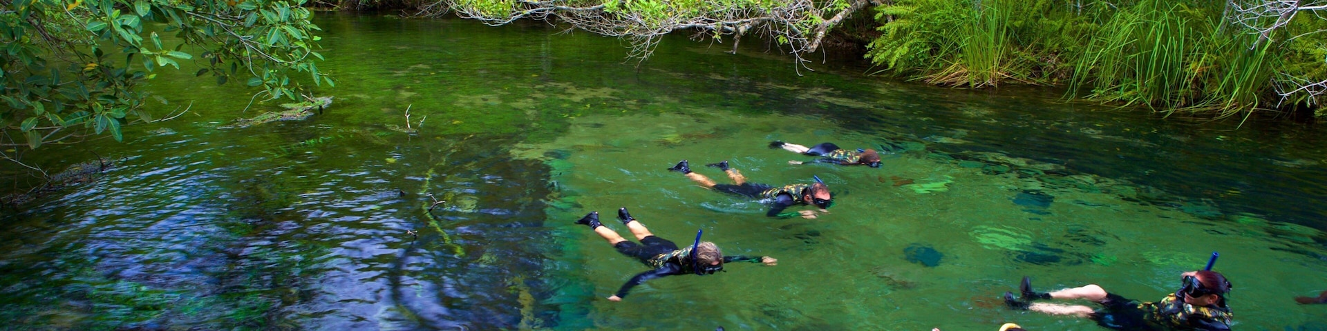 Bonito which includes snorkeling and a lake or waterhole as well as a small group of people