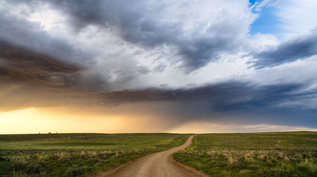 Scenic Wyoming landscape with rolling hills and dirt road in Thunder Basin National Grassland