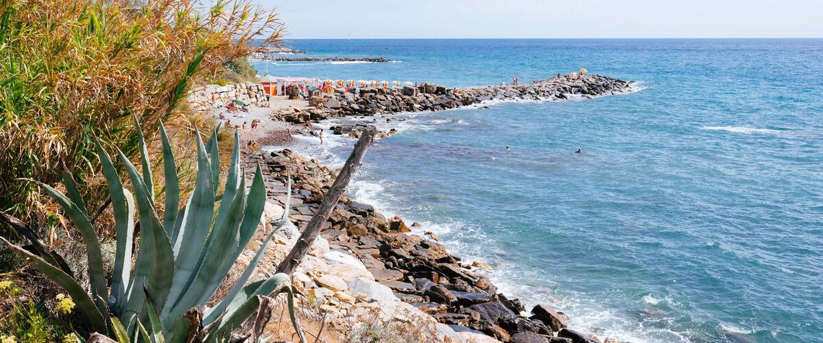 A rocky shoreline with waves crashing onto the rocks, a clear blue sky, and some vegetation.