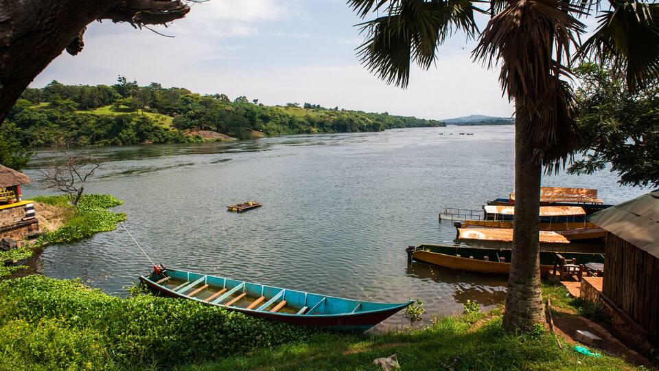 A river with boats, greenery, and a wooden structure.