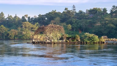 Un río tranquilo con una pequeña isla cubierta de árboles y una casa al fondo.