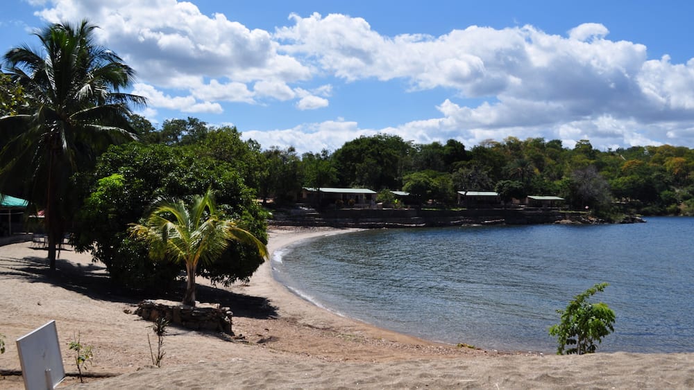 Ein Strand mit Palmen, sandigem Ufer und ruhiger See.