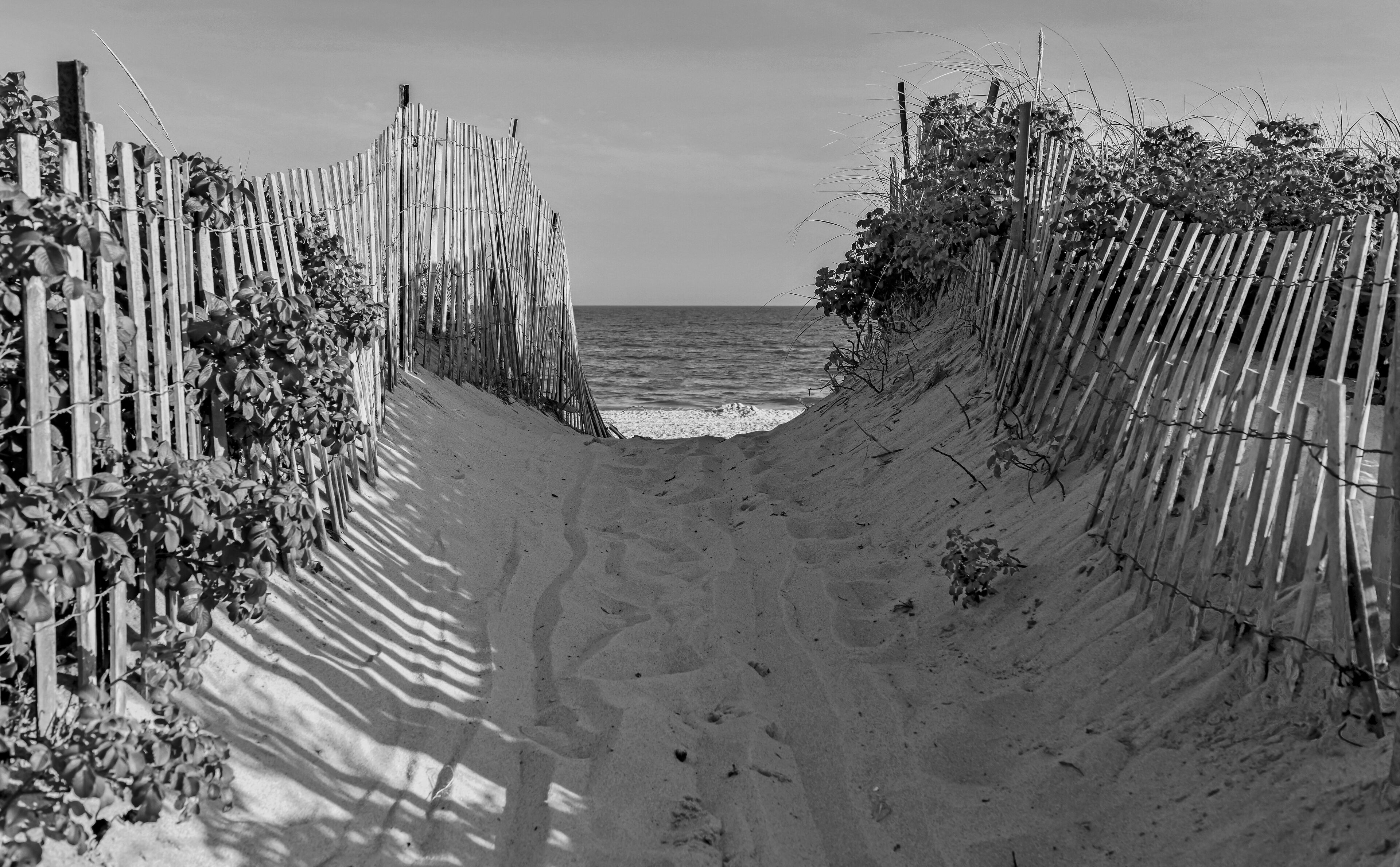 Beach scene with sand dunes and fencing by ocean