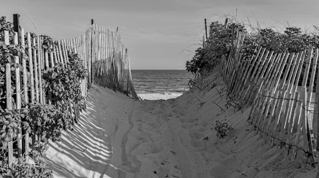 Beach scene with sand dunes and fencing by ocean