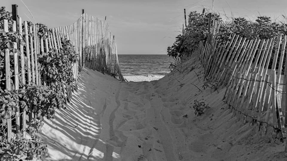 A sandy beach path flanked by bamboo fences leading to the ocean.