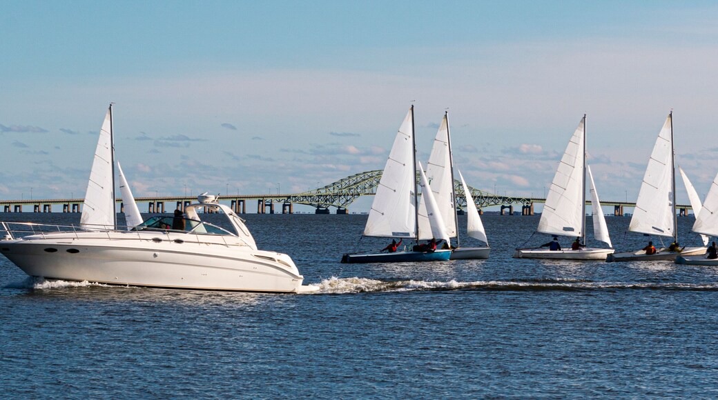 Two person sailboats in December regatta with large motorboat passing infront of them and bridge in background